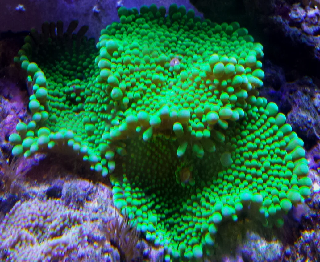 20170630_162149.jpg