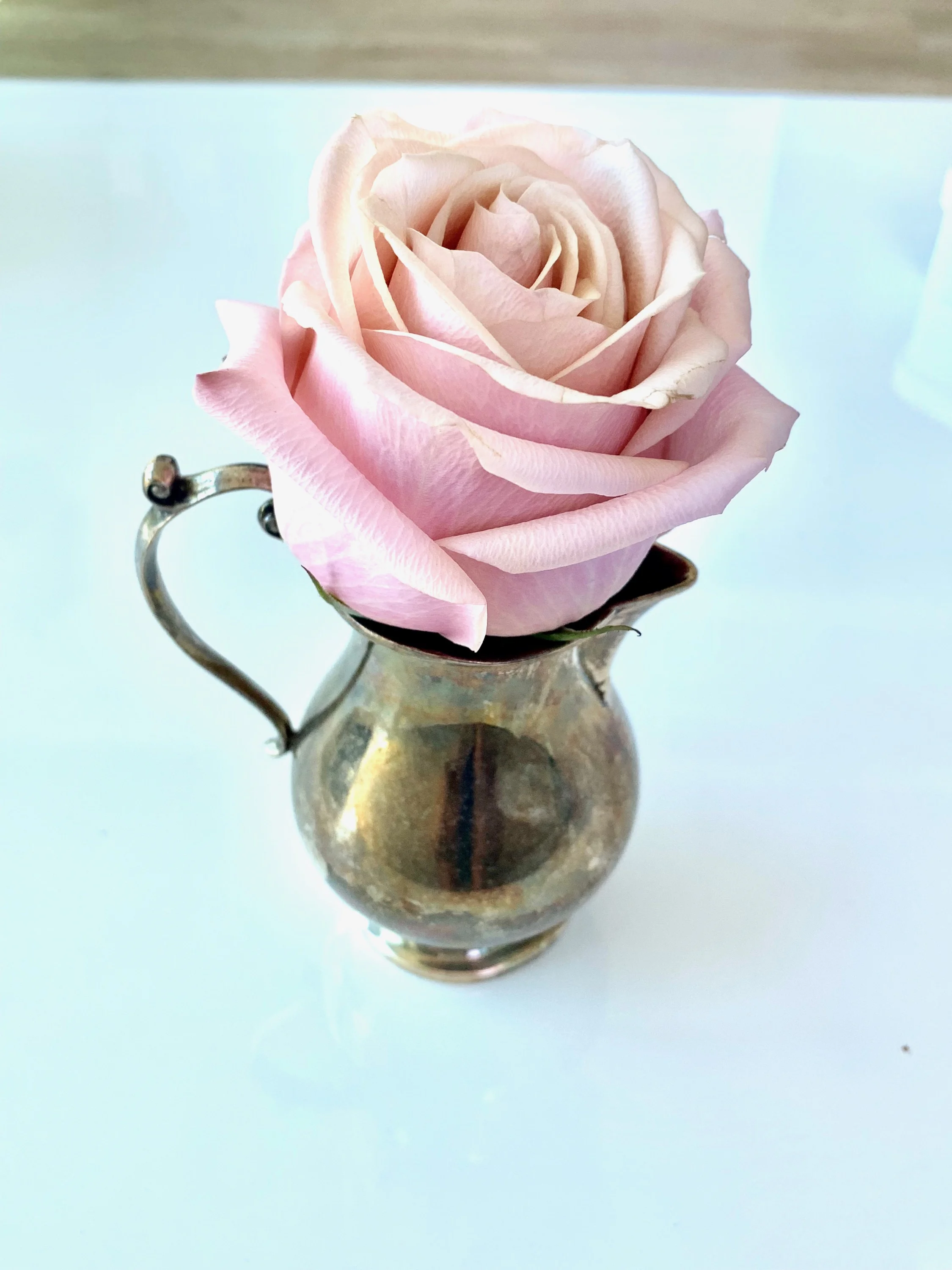 Tarnished silver creamer pitcher dually purposed as a tiny vase, made much prettier with a fresh-cut pink rose… totally imperfect but also super cute and elegant in its own way!