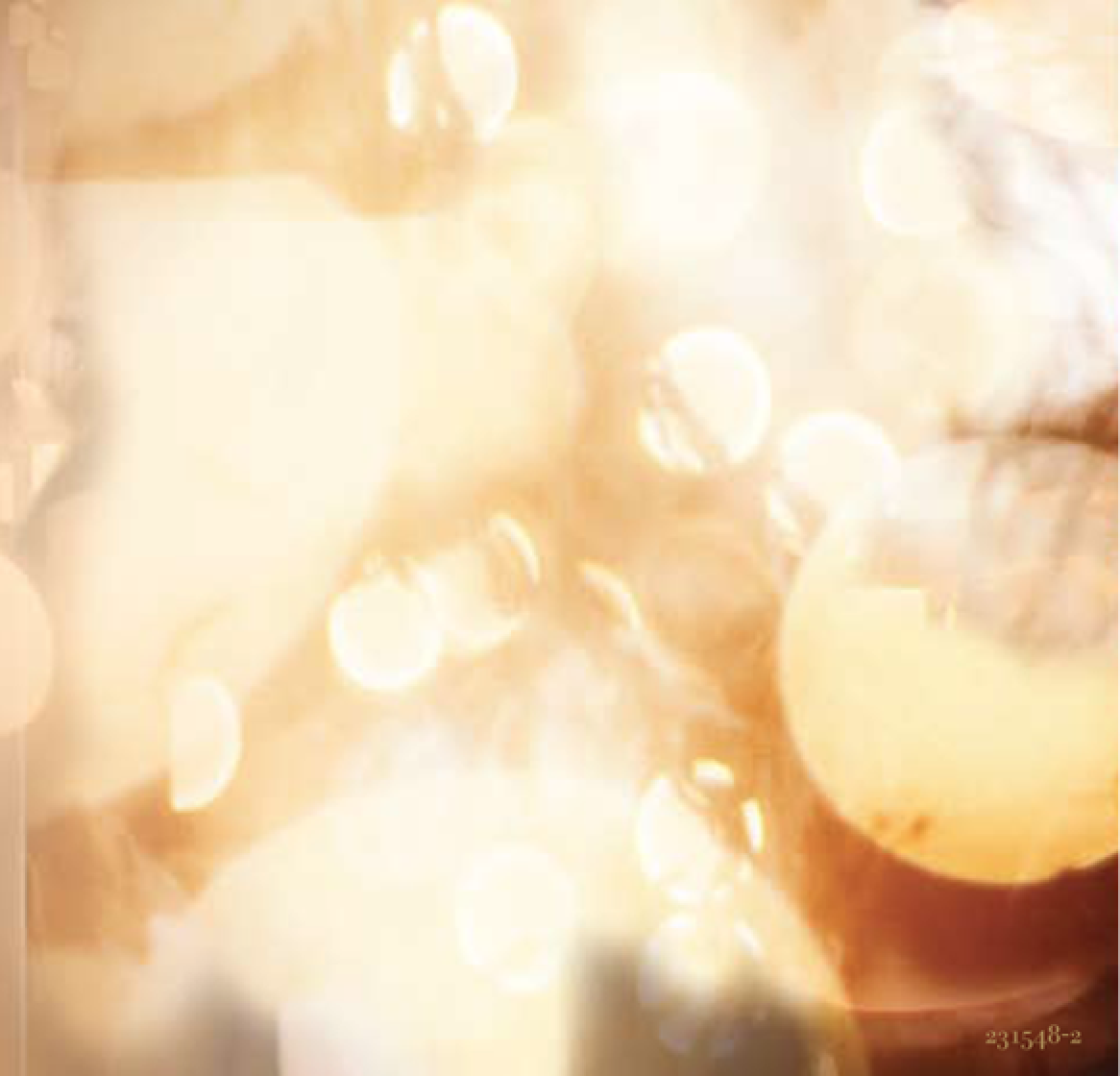 Screen Shot 2017-07-04 at 9.08.33 PM.png