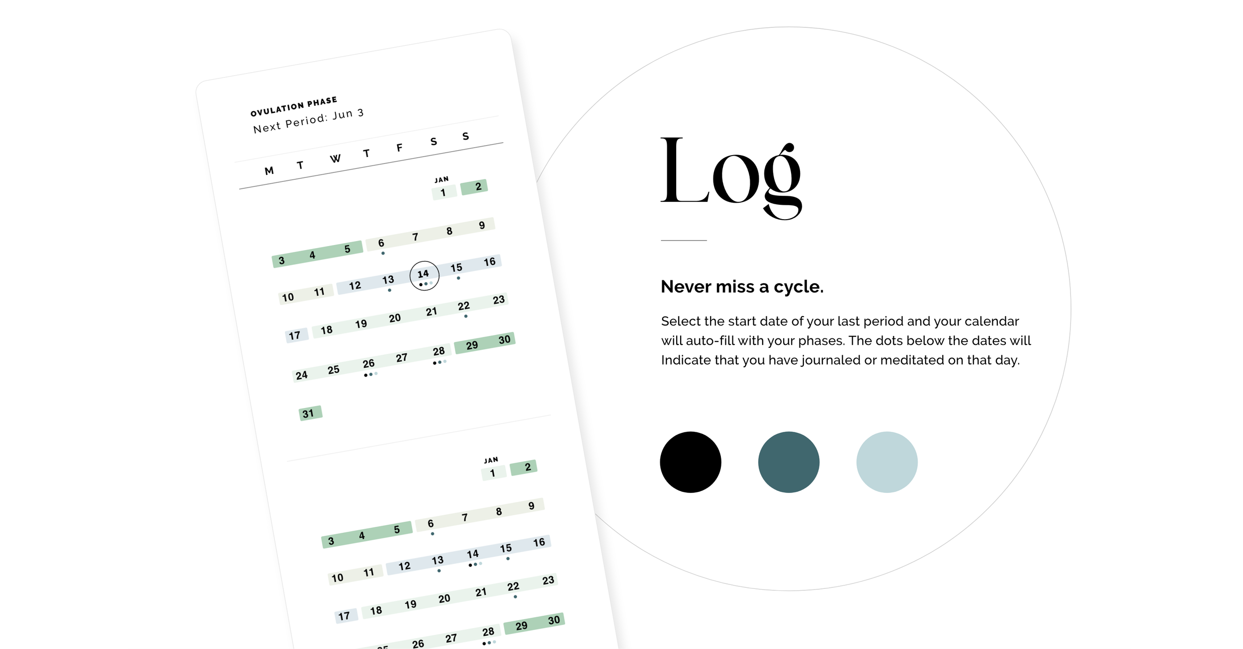 Screenshot 2024-07-06 at 10.21.37 PM.png