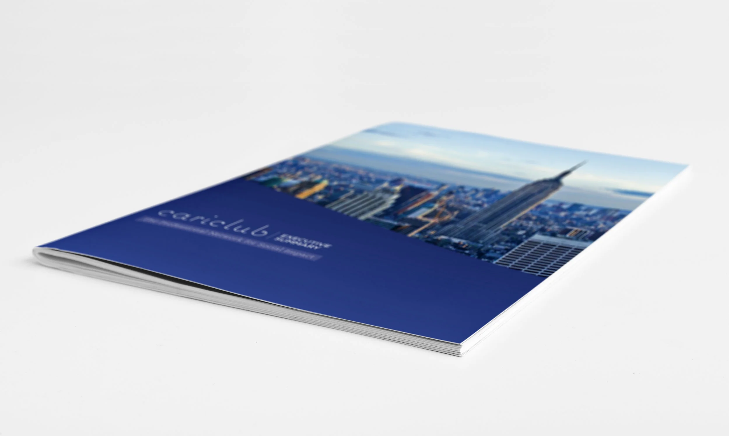 Branding Deck8.jpg
