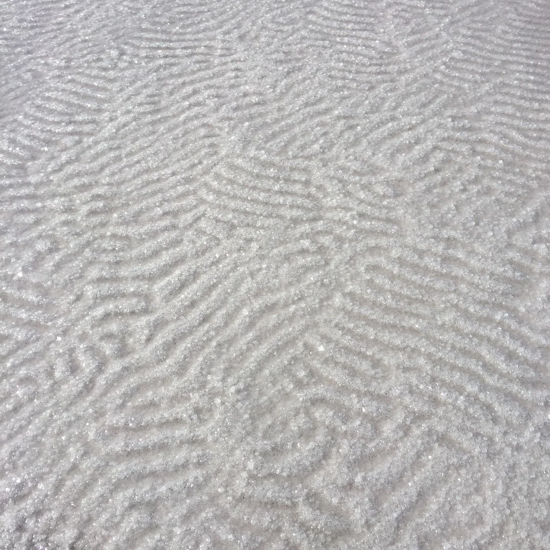  Photos: Aruna D’Souza 