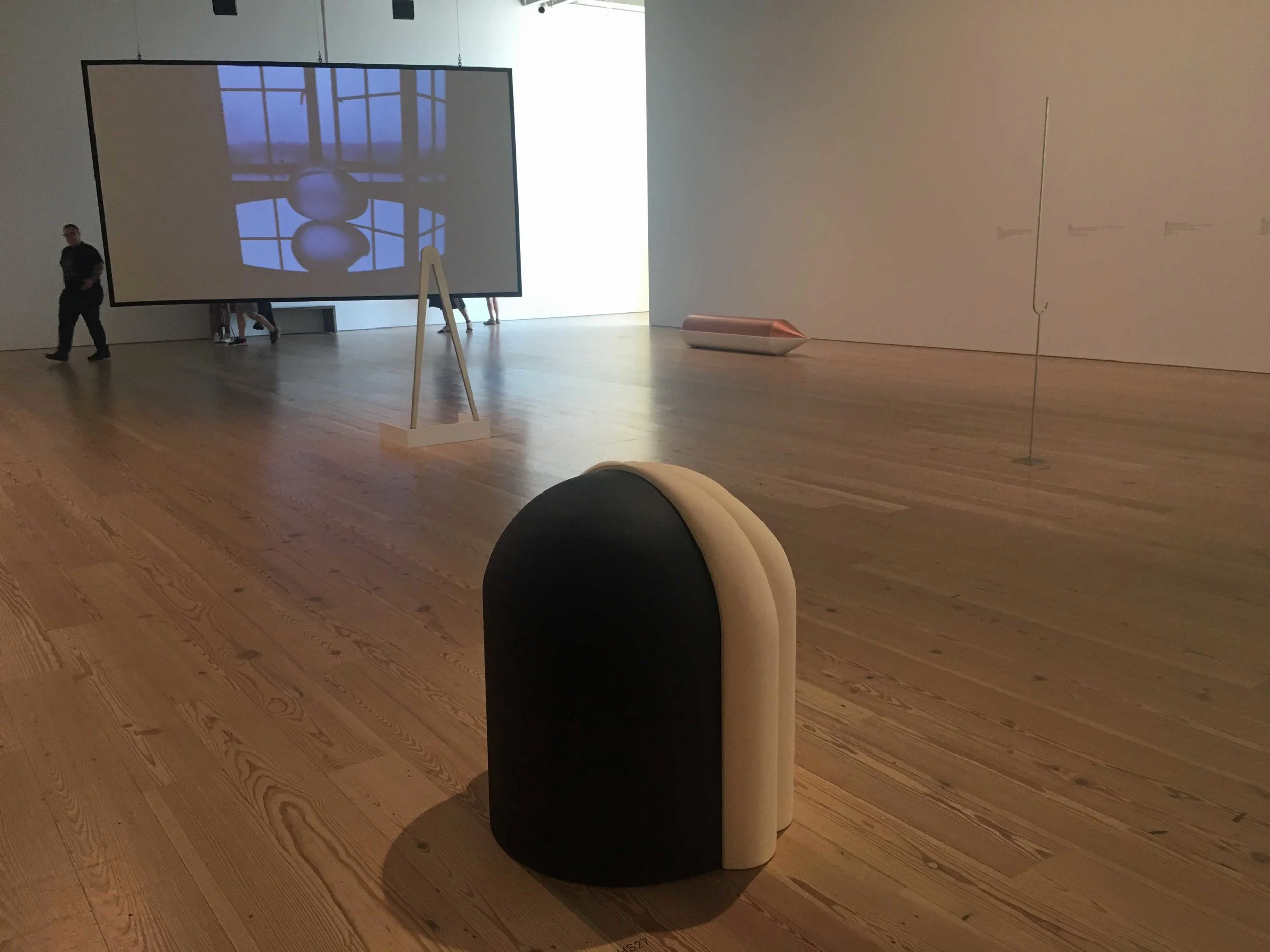 DSouza_WhitneyBiennial2019_Issa.jpg