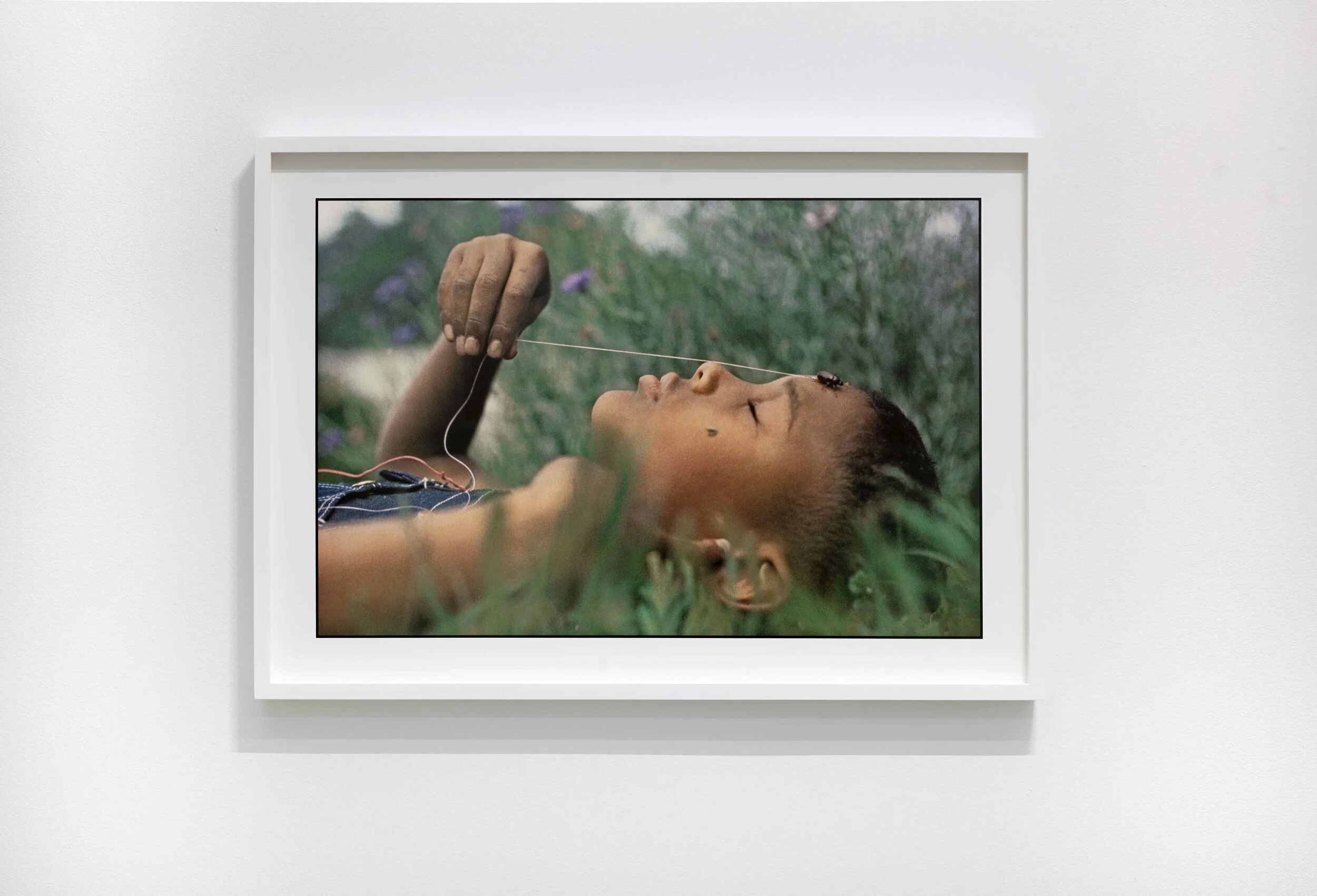dsouza_gordonparks_4.jpg