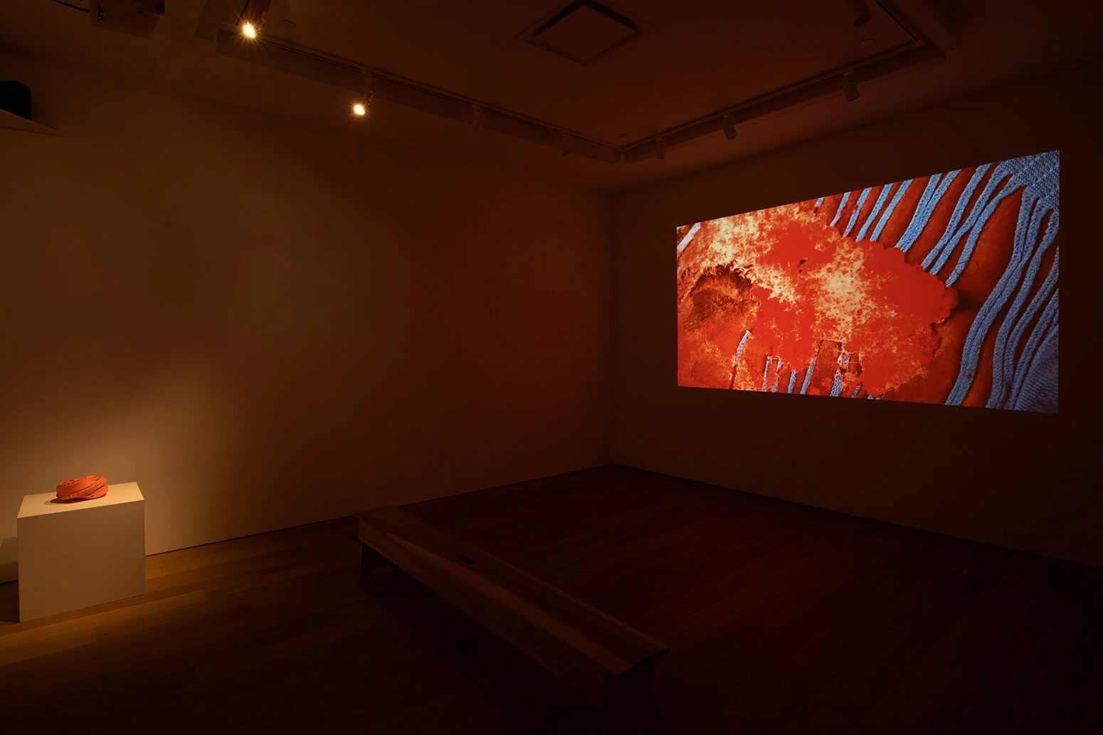  Kenya (Robinson), If I’d’ve Known You Were Coming, I’d’ve Baked You a Cake, 2018, and Patriot Games, No 03052021, 2018–21. Courtesy the artist and Canada. Photo: Joe DeNardo. 