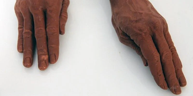 SAN DIEGO/ZOOM: The Ethics of Engagement: A Conversation with Aruna D’Souza &amp; Zoë Charlton