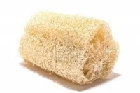 sponge.jpg