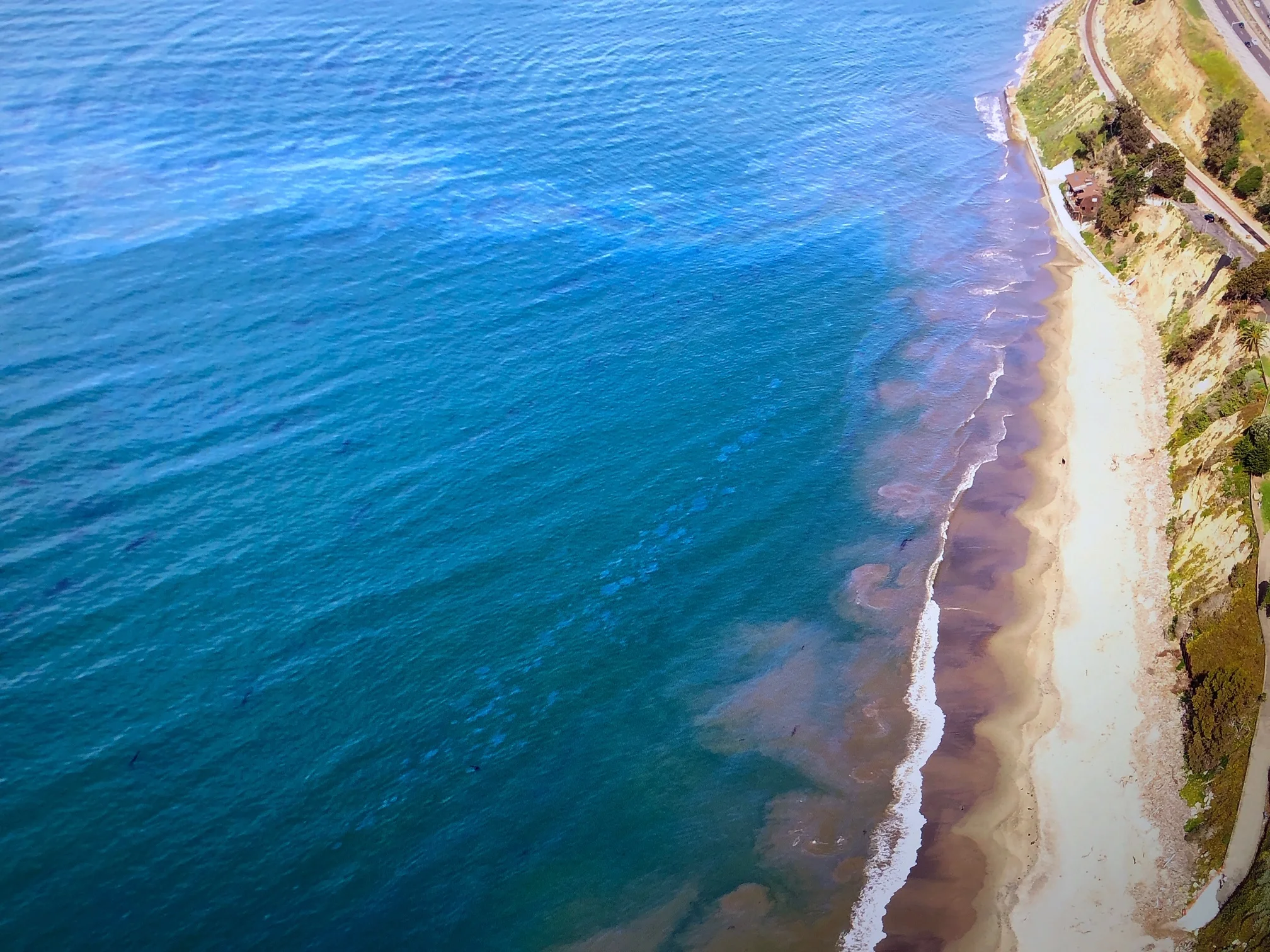 Oil leaks as of May 1, 2019 off Summerland Beach (All photos by Harry Rabin)