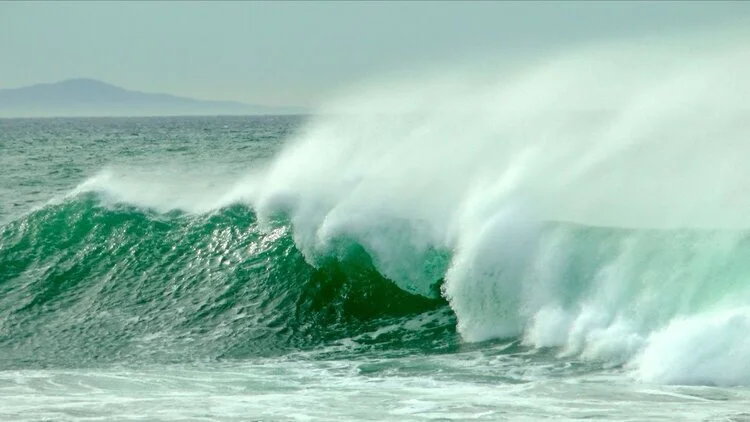 COVID-19 IN THE OCEAN? NO WAY!