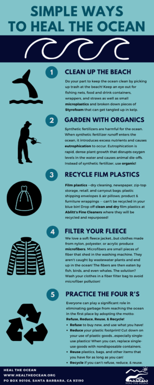 Healing the Ocean With The Office Closed