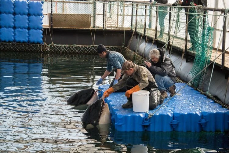 January 2020 E-Letter