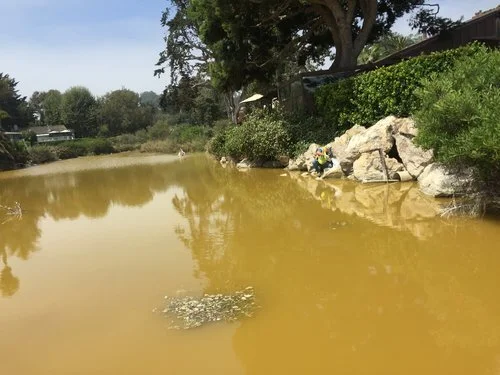 September 2017 E-Letter