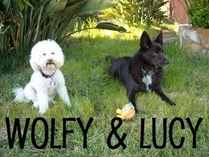 Wolfy+&+Lucy.jpg