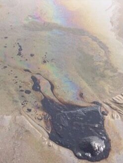  Oil leakage from Becker Well   Photo by Nora McNealy Hurley 