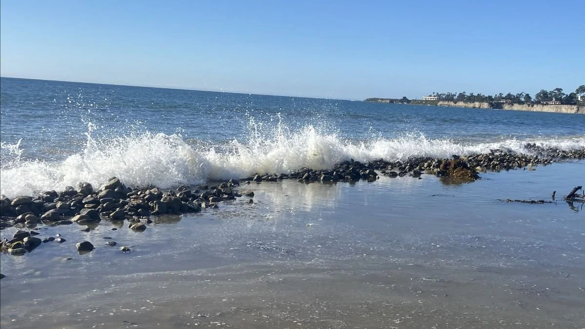 January 2026 E-Letter