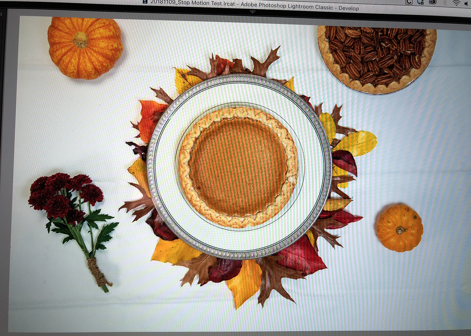 American Airlines Thanksgiving Shoot