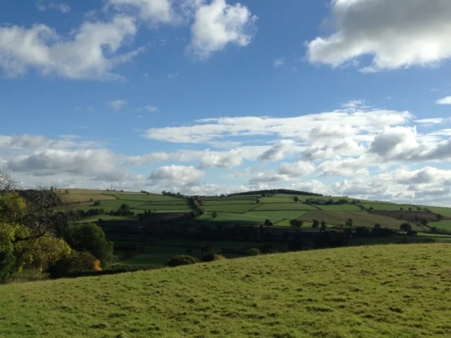 Food Access & Availability in Rural England