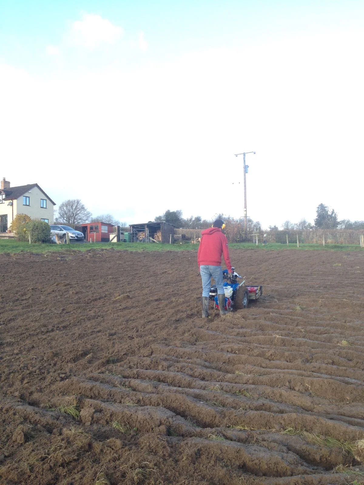 A Coincidental Legacy: Sir Albert Howard