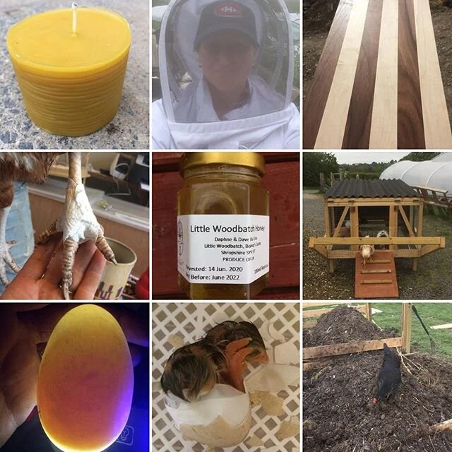 Some of the things we’ve learned in lockdown! Beekeeping, honey extraction, swarm collection, and candle-making; incubating, hatching and raising chicks, guineafowl and (soon to be) ducklings; woodwork including chopping boards, the chickshaw,