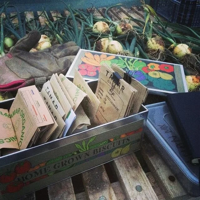 Hands down the best biscuit tin to recycle for seeds goes to @biscuiteersltd. πͺ π₯ 
It may be the longest day of the year but days will start getting shorter from now on, so over the next couple of months we have to make sure successions are seeded