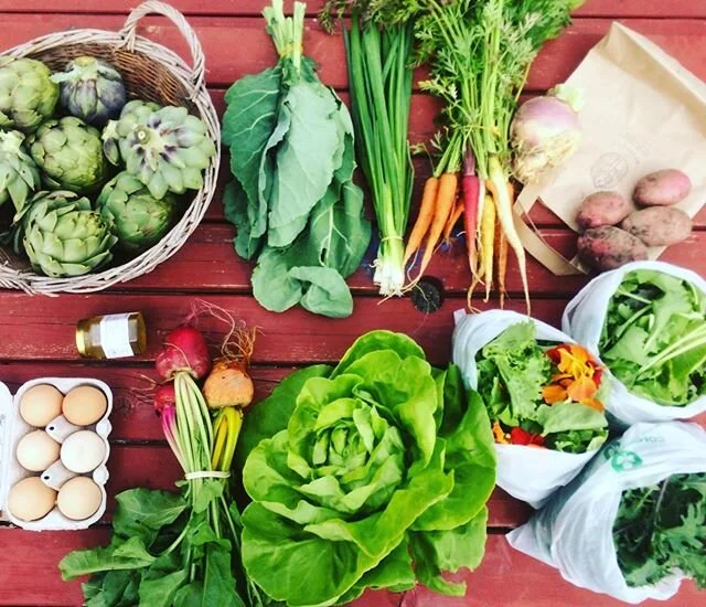 Veg box 11: swede, potatoes, rainbow mix carrots, beets, spring onion, salad with edible flowers, lettuce, baby kale, Asian mix, collard greens. Artichokes and mange-tout peas for early pickups! We have 40 boxes going out today! If you aren’t a