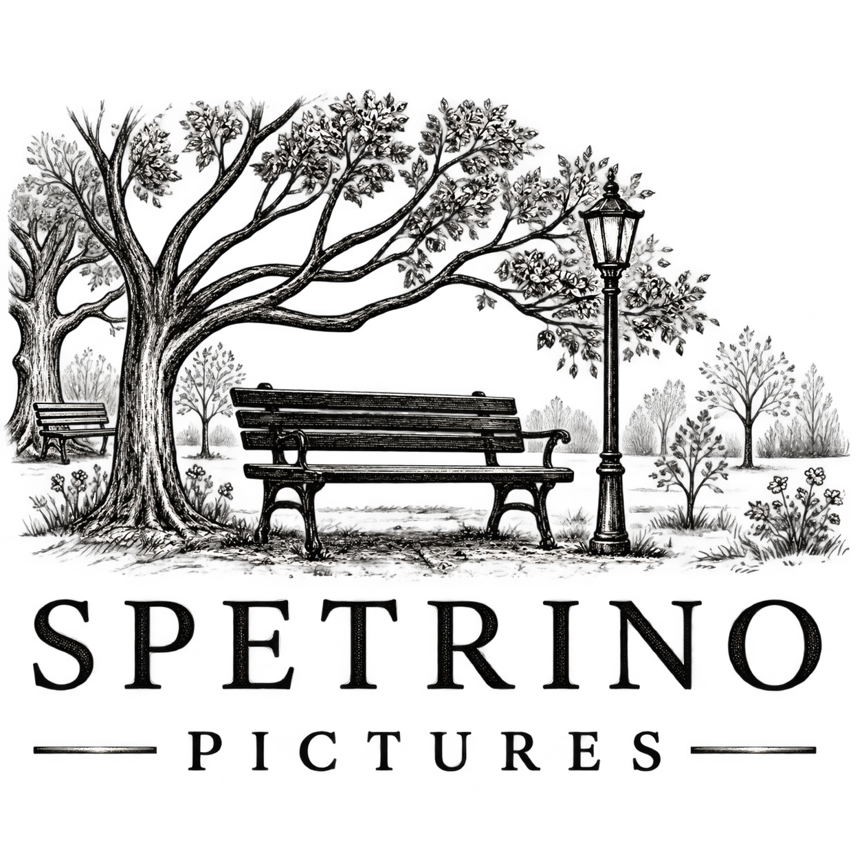 Spetrino Pictures