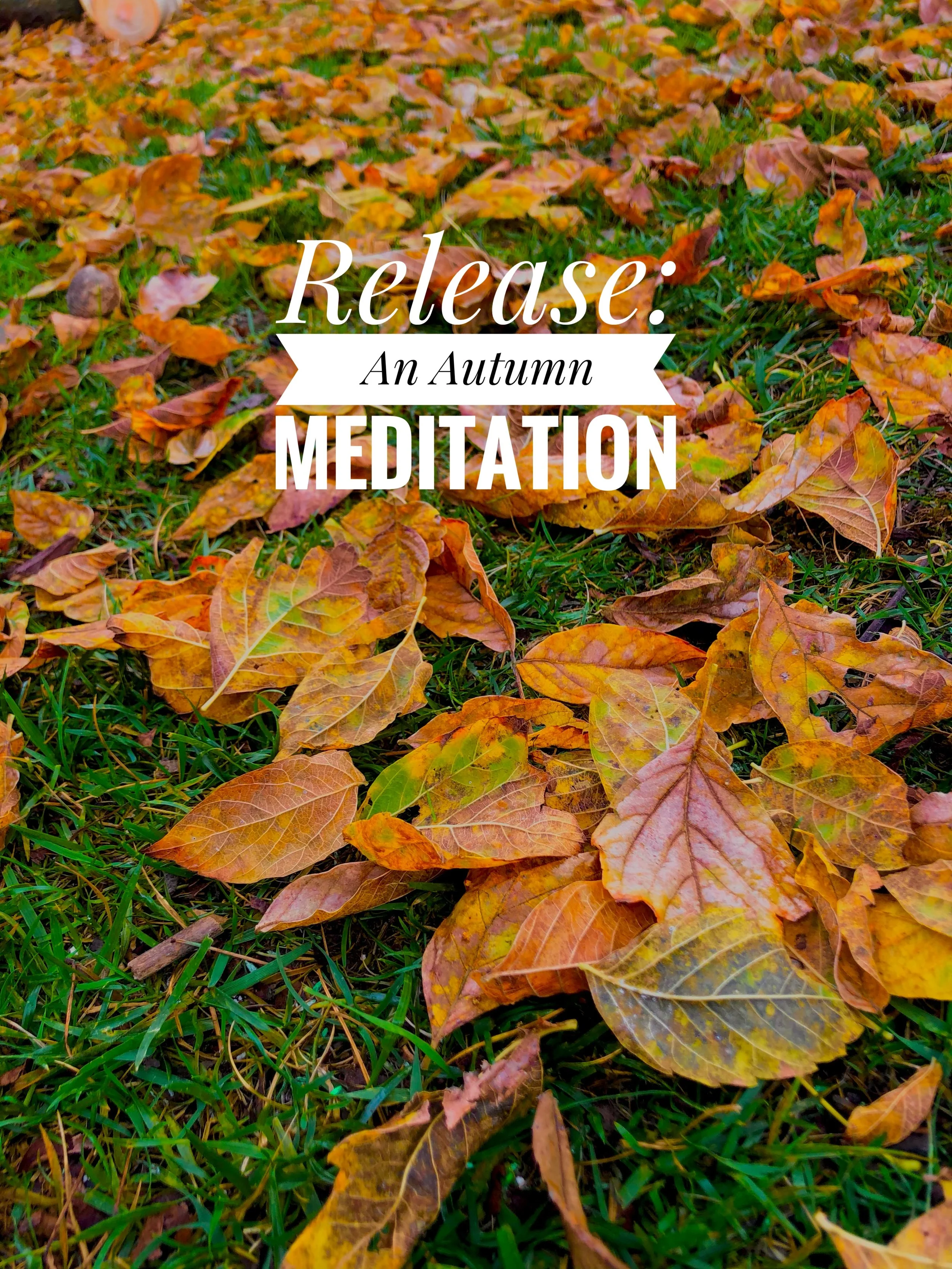 Release: An Autumn Meditation