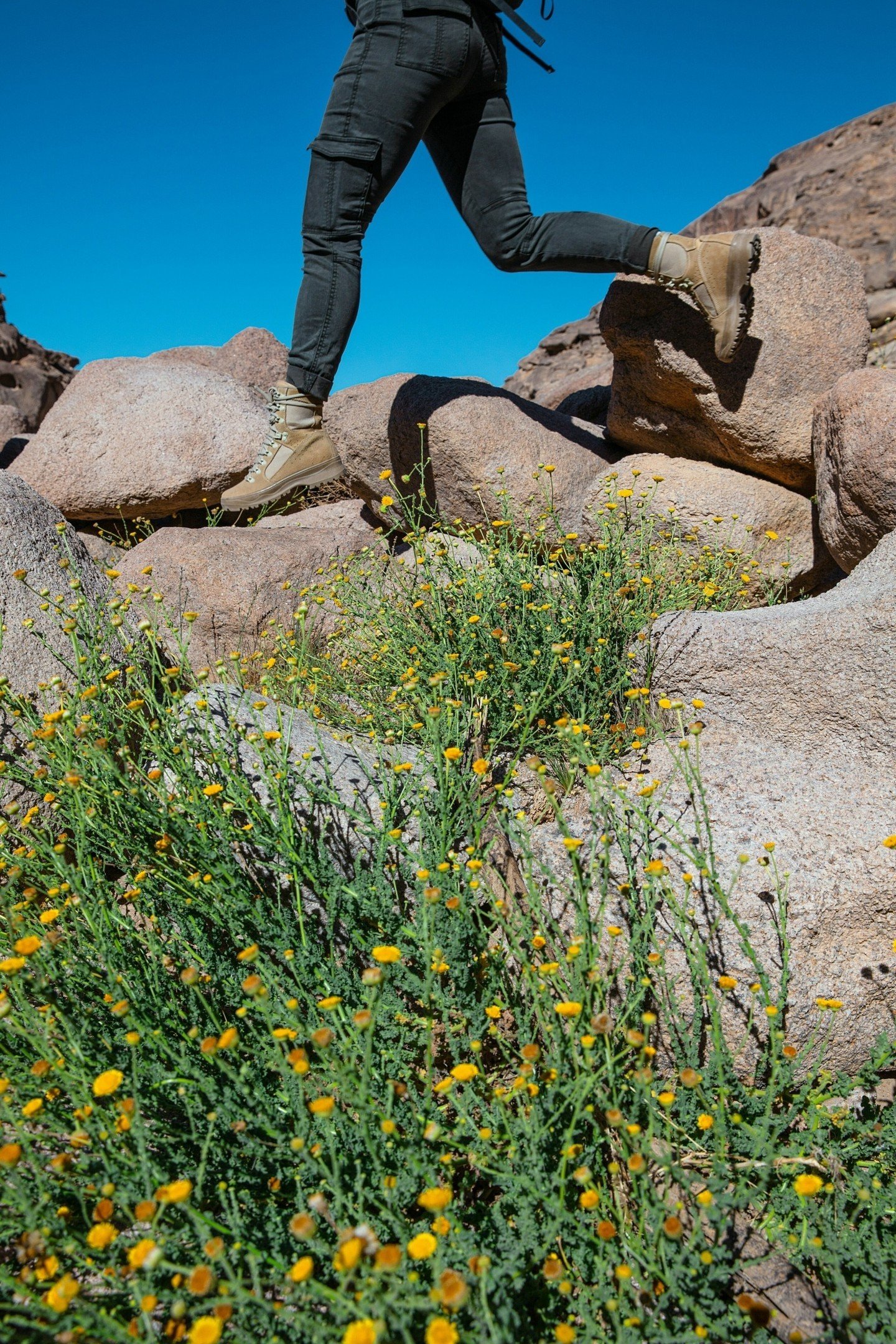 🌿🚶&zwj;♂️ Worksite Wellness Tip: Take Your Meetings Outdoors! 🚶&zwj;♀️🌿

As we prioritize employee health and productivity, why not take your meetings outdoors? 

Research suggests that walking boosts cognitive function and encourages open commun