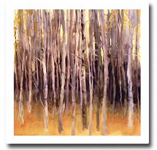 TREE FORMS STUDY Image: 36 x 36, Paper: 39 x 39