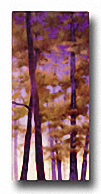 PURPLE WOOD II Image: 24 x 12 Paper: 24 x 12