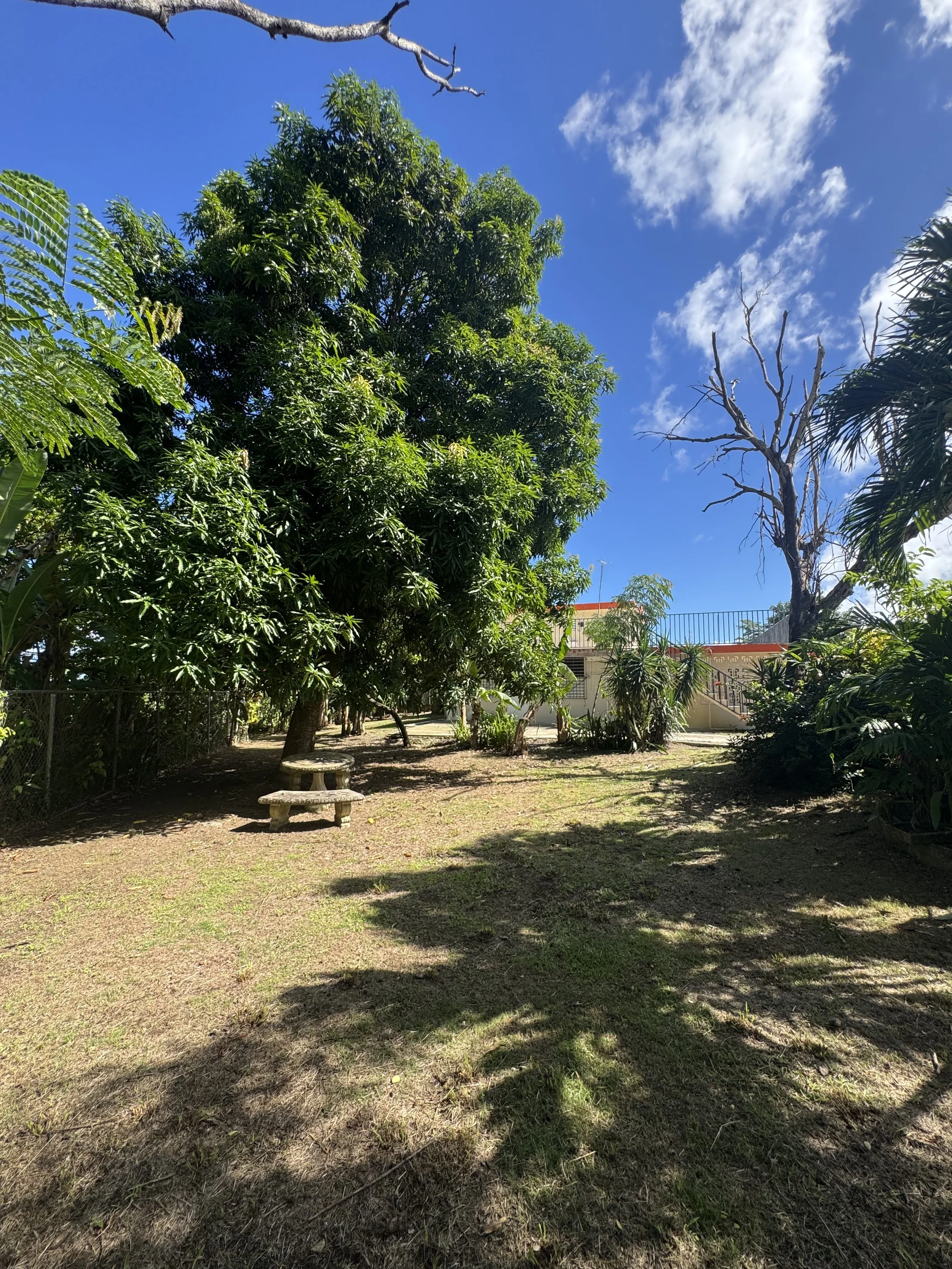 Photo Nov 20 2025, 10 51 30 AM.jpg