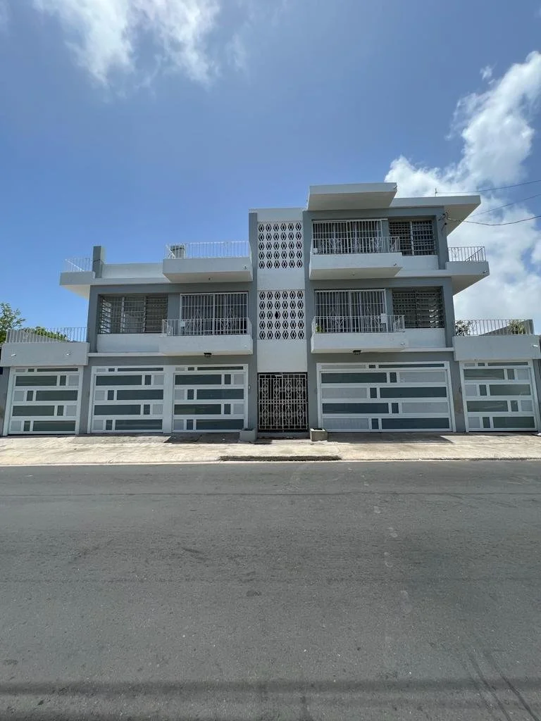Providencia ST, Villa Palmera, Santurce