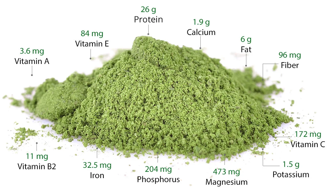 moringa-powder-jpm.jpg