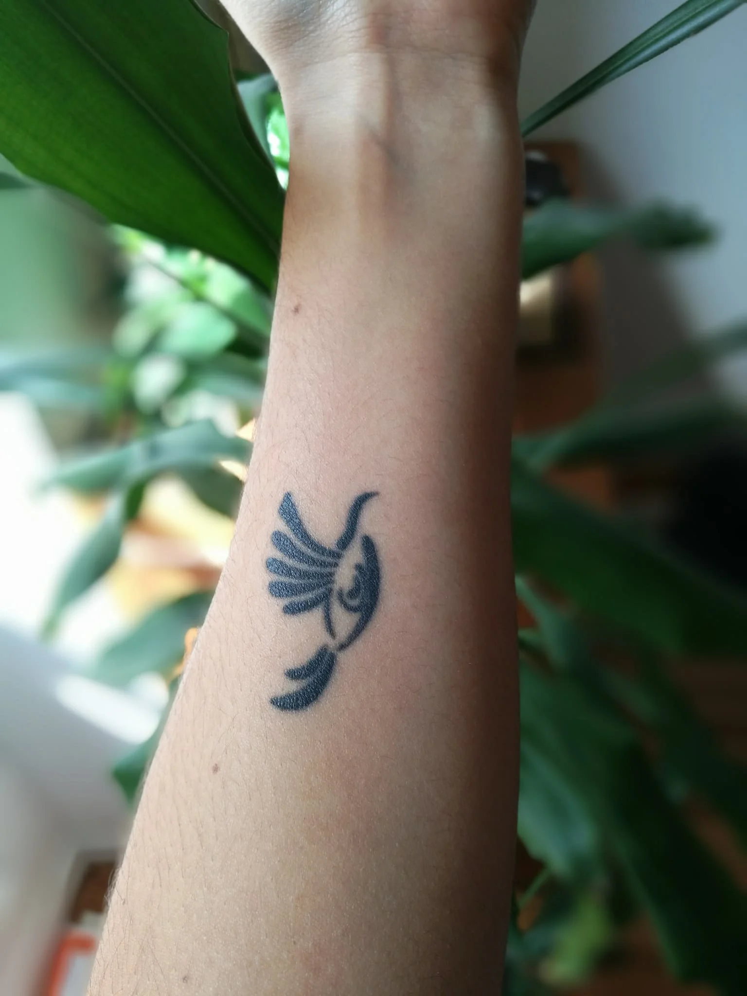Le tatouage de Natalia!