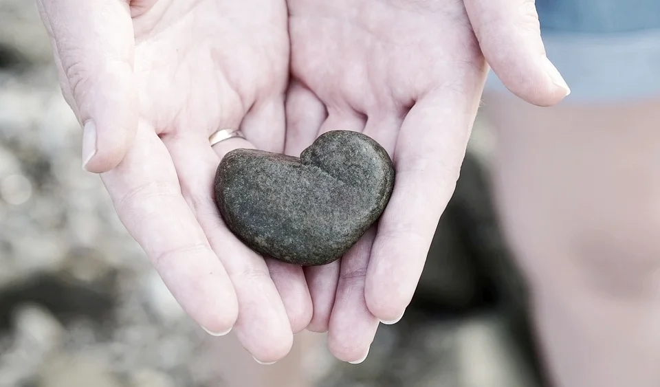 heart-2680372_960_720.jpg