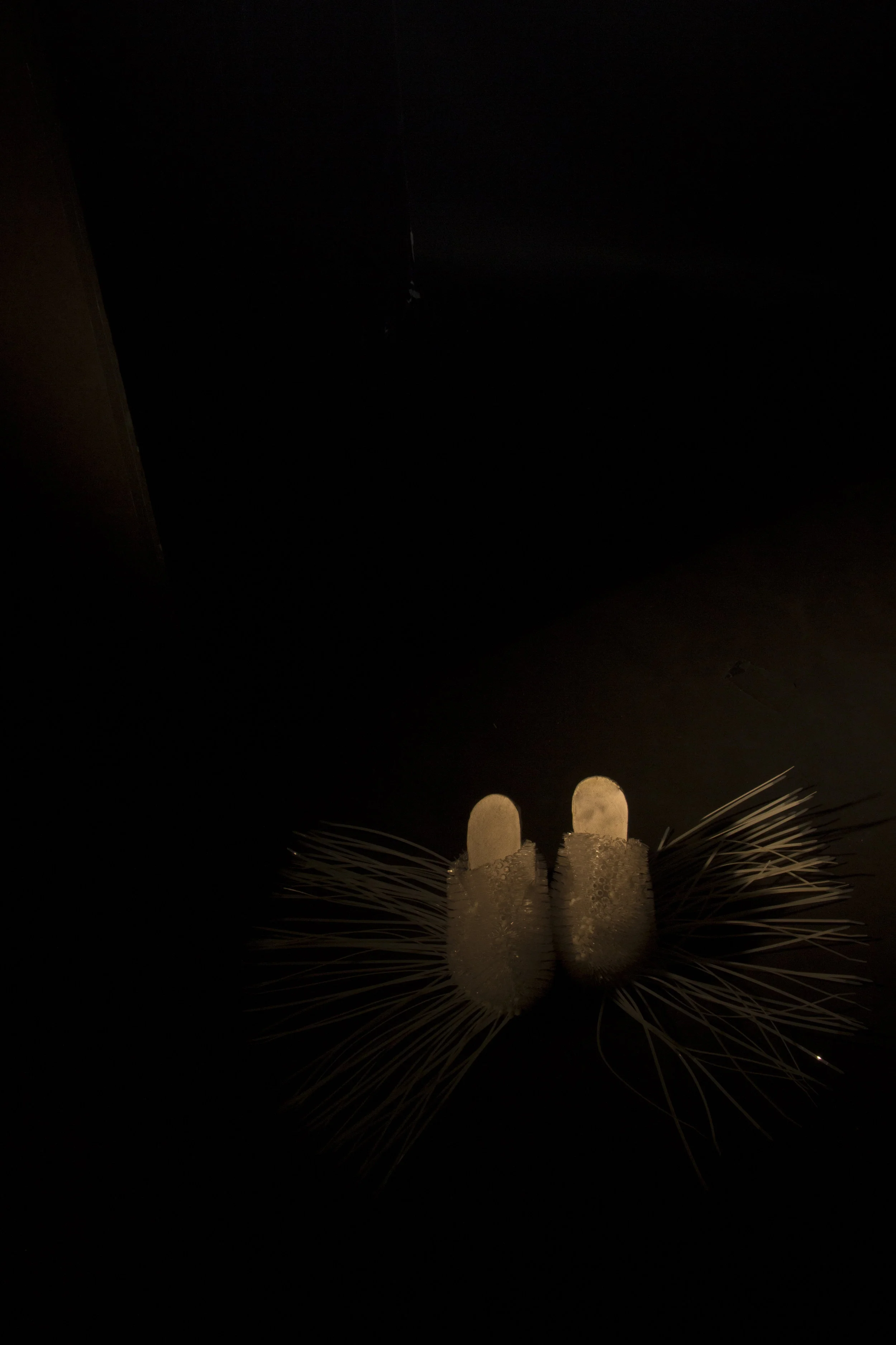 underwater_67.jpg