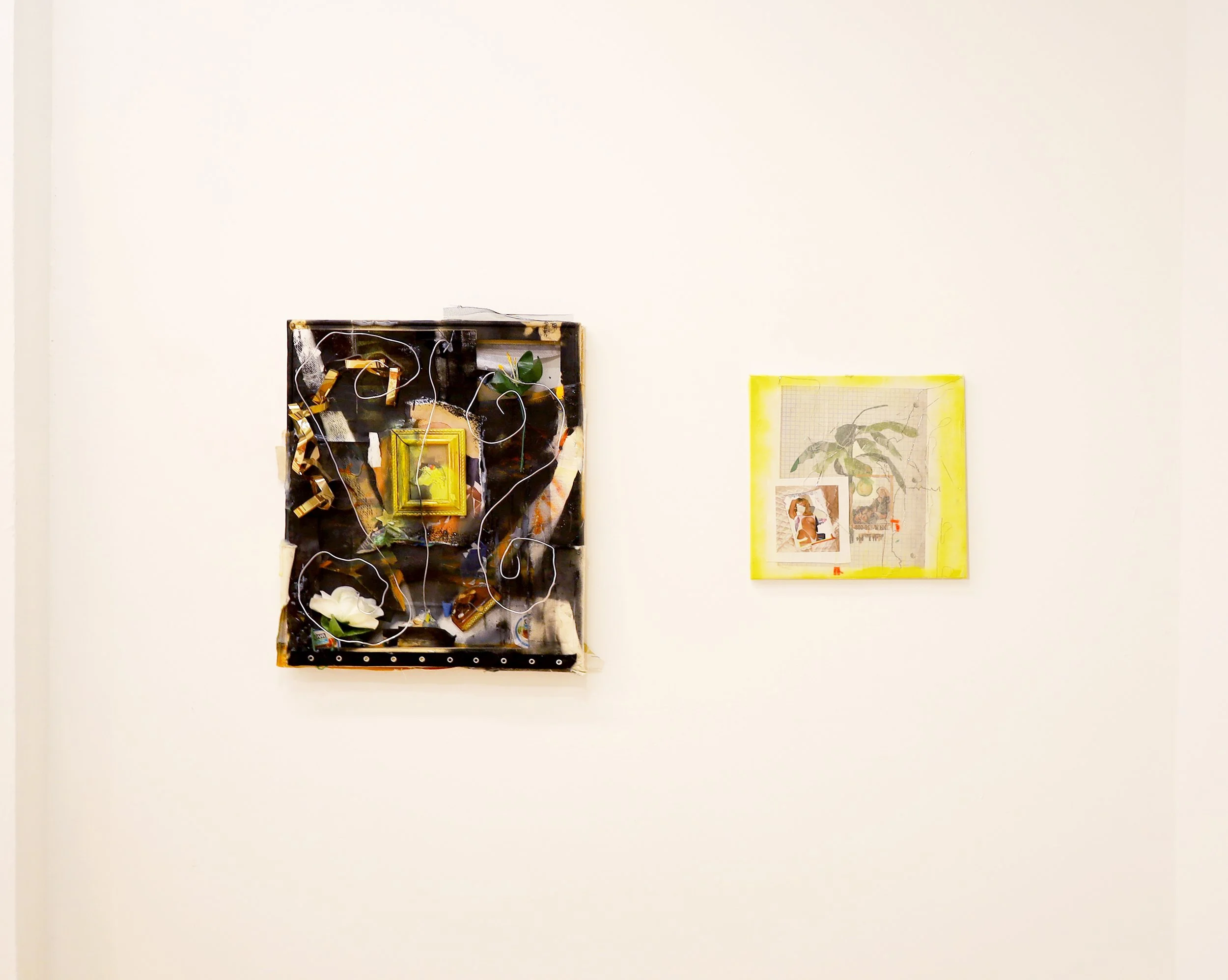 wall3hyacinth.jpg