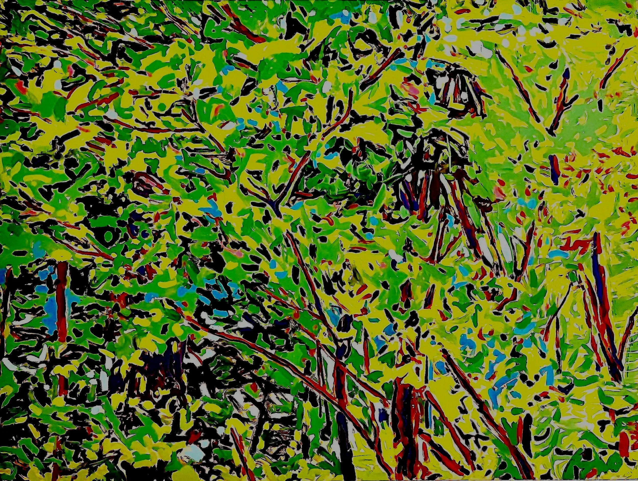 45C. Landscape #17.