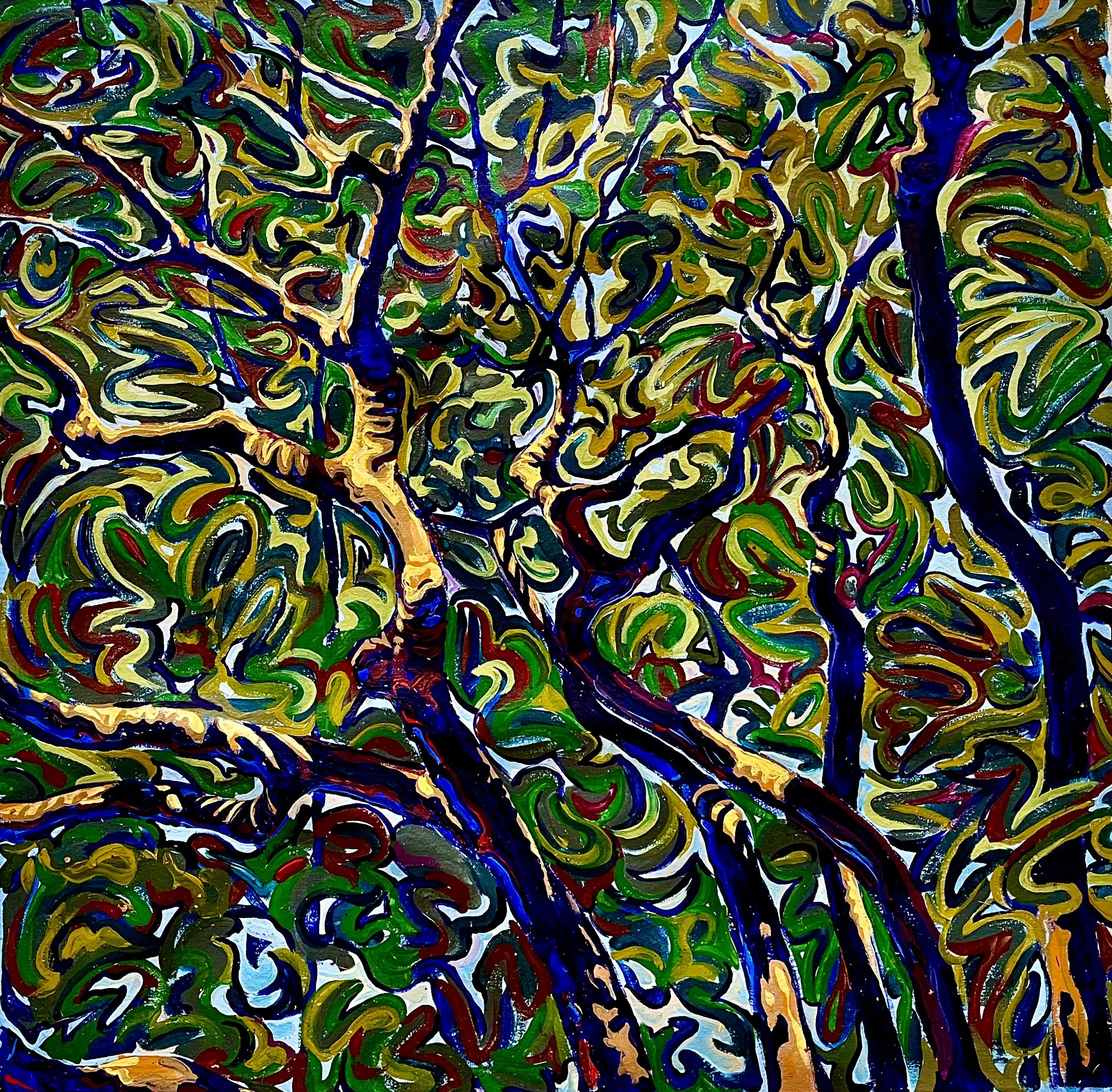 42B. Tree, Light