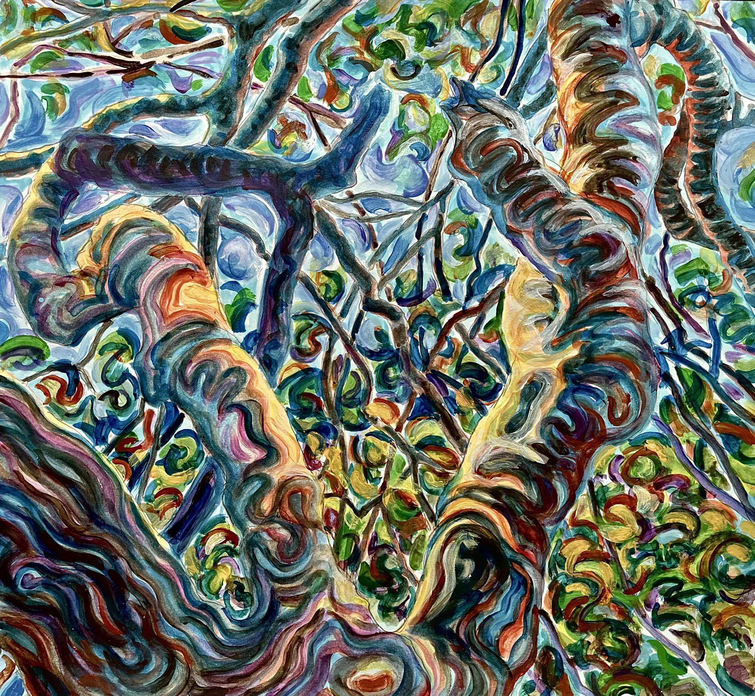 1. Maryland Woods .