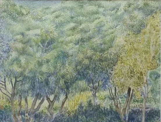 18. Forest View.