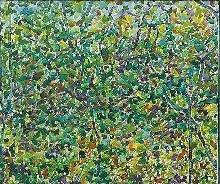27. Fragmented Woods