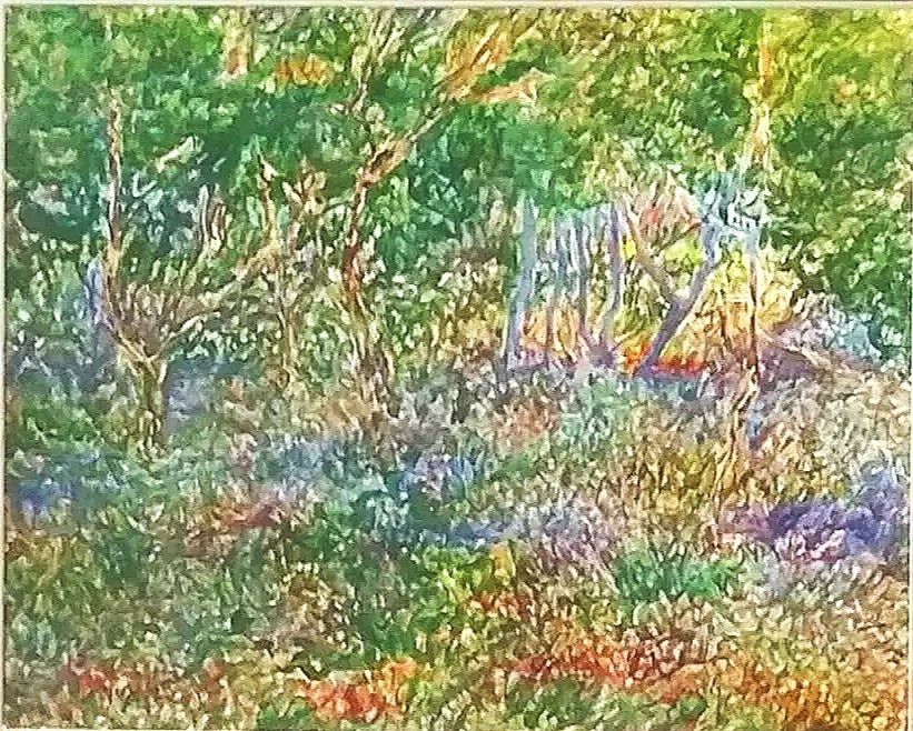 22. Wet Forest.