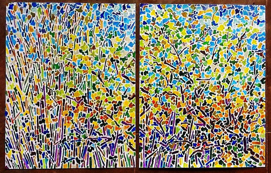16A. Nevis Diptych. 