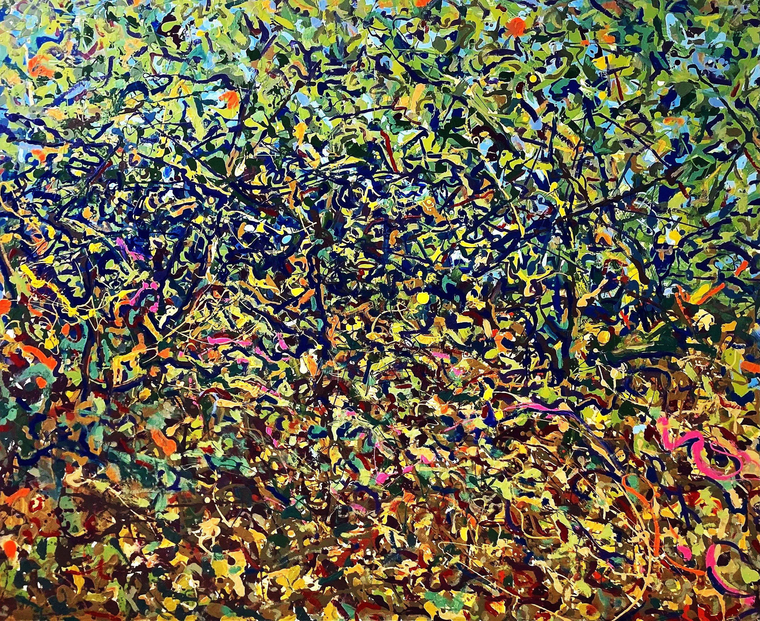 12.C Wooded Thicket.