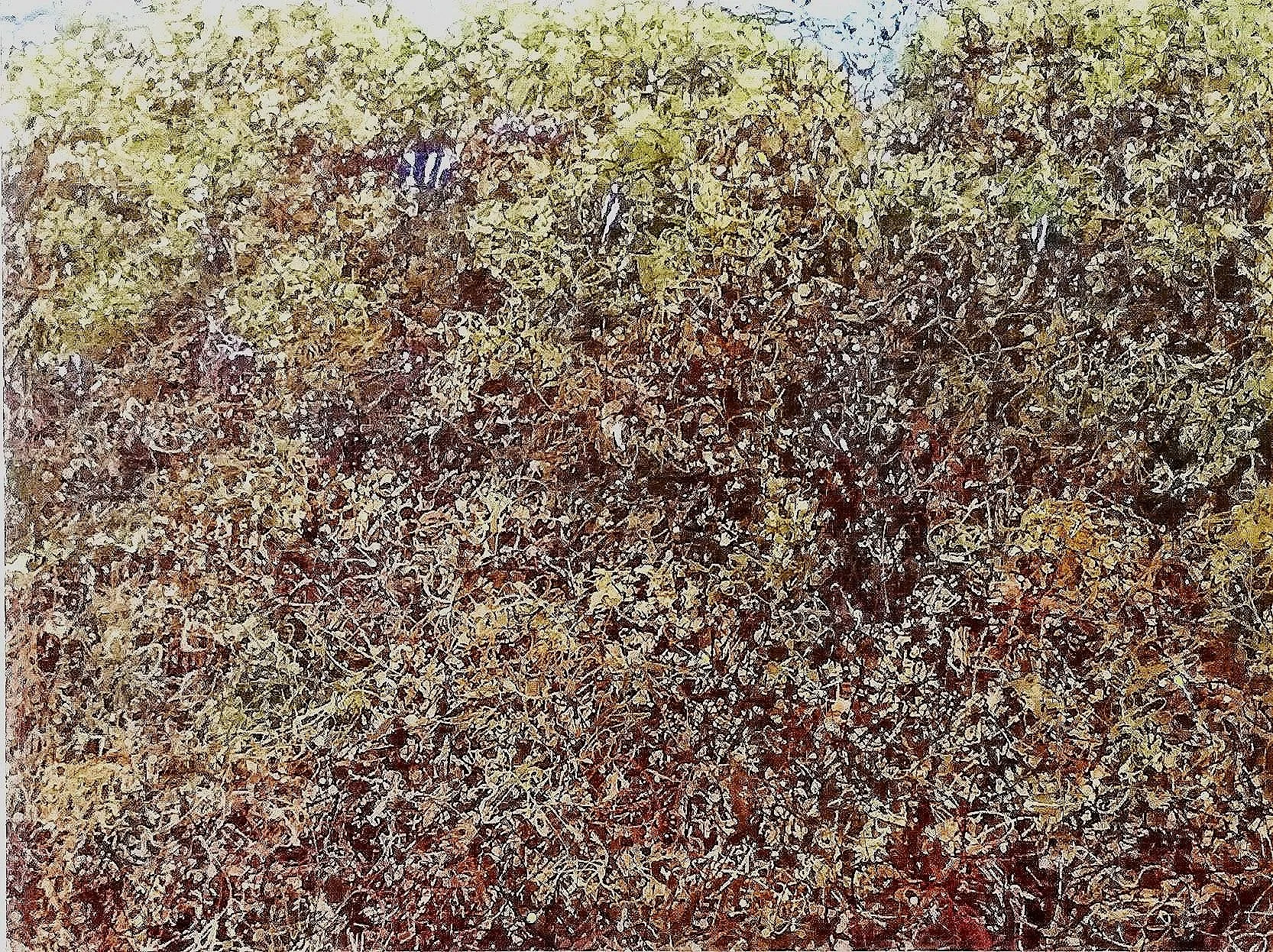 15. Forest and Covert.