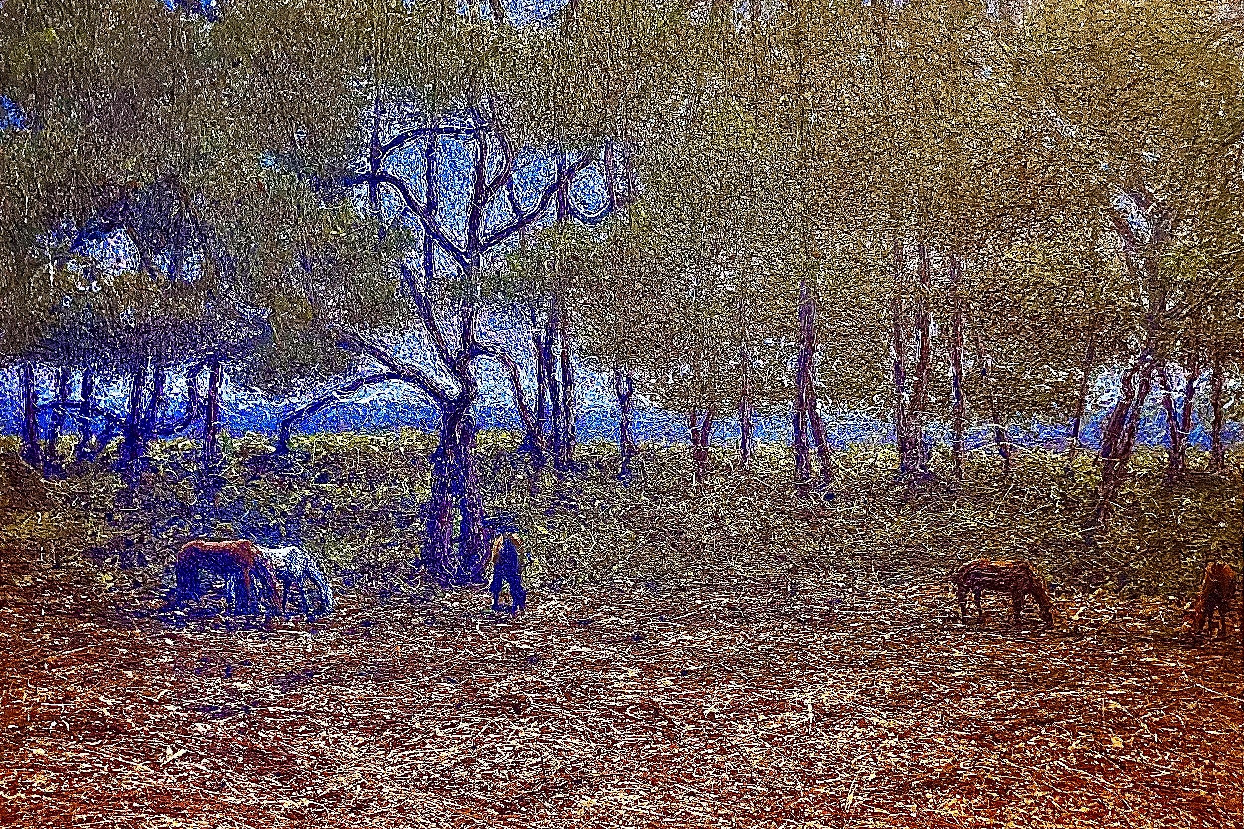111. Gunpowder Woods.