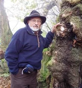 Olaf and the 1800 year-old Tortworth Chesnut. Fifty years before the United States was formed, the tree was already immense, measuring 51 feet in circumference.