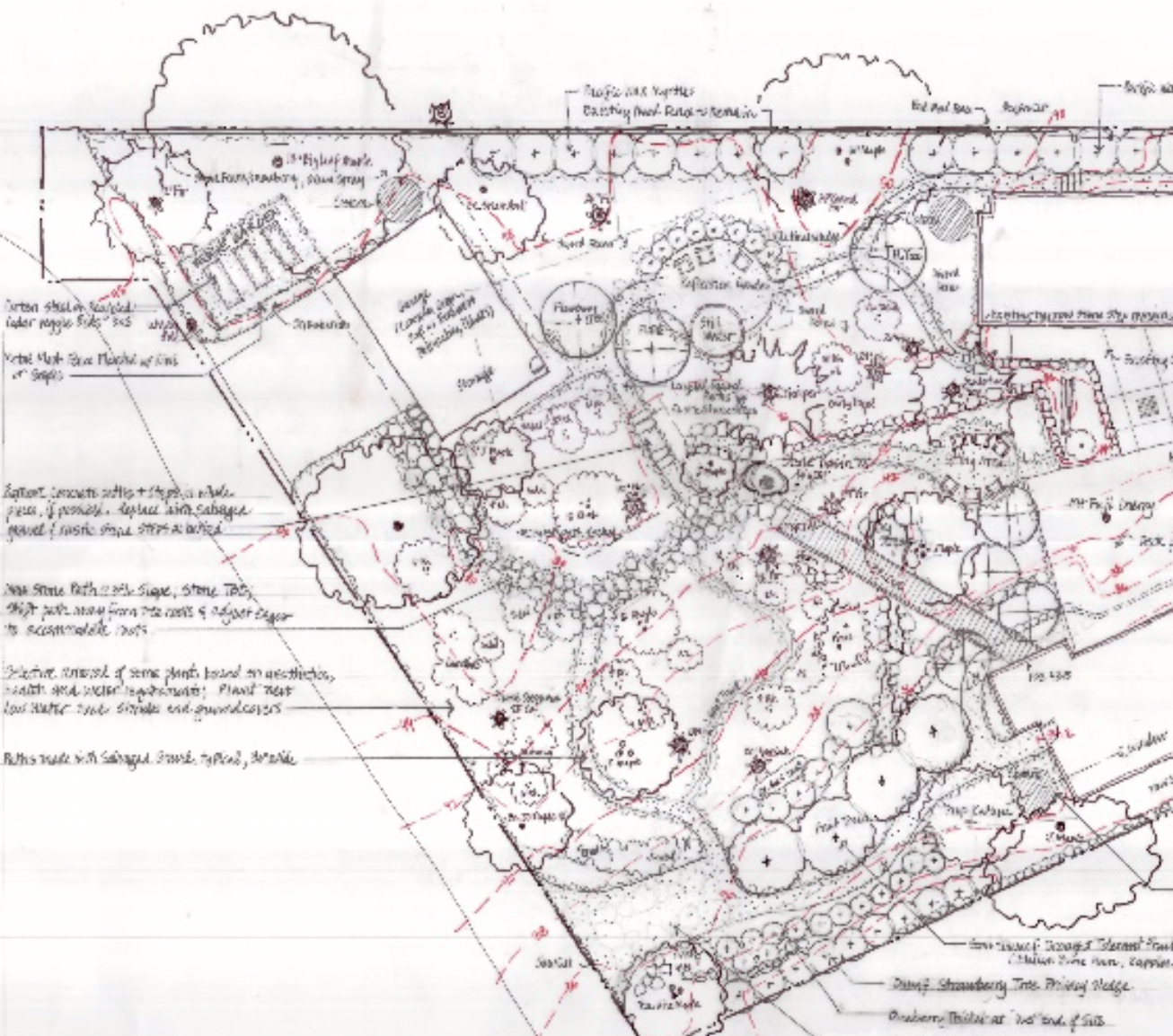 No Small Feat: Anne James drew by hand the existing garden and then inserted new plants grouped by watering needs.