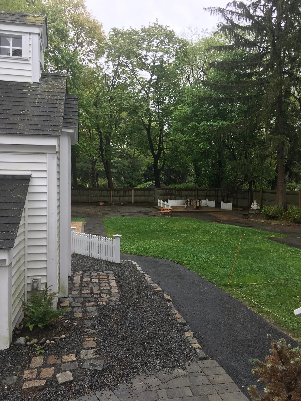 Backyard in Spring
